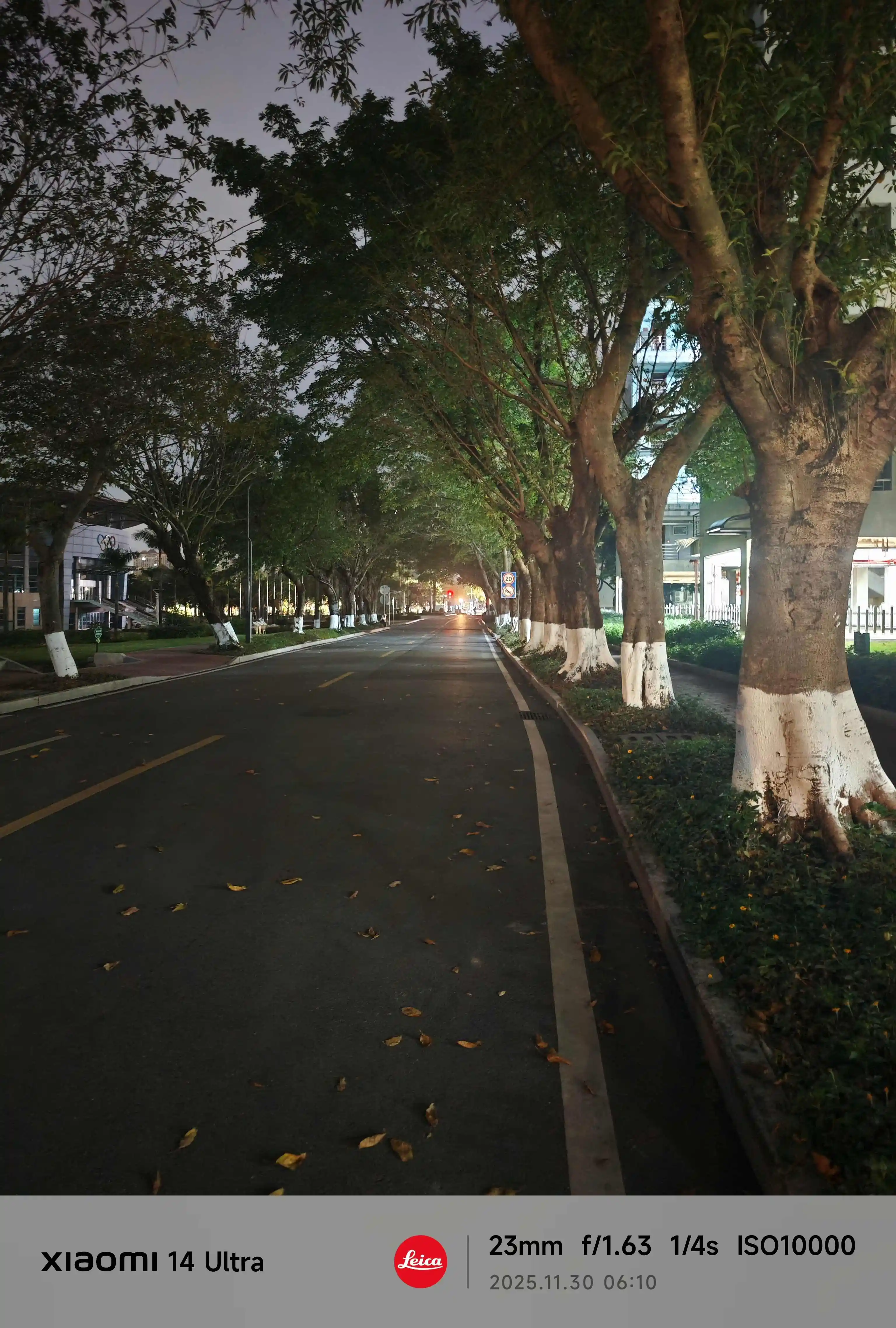 漆黑无人的校道